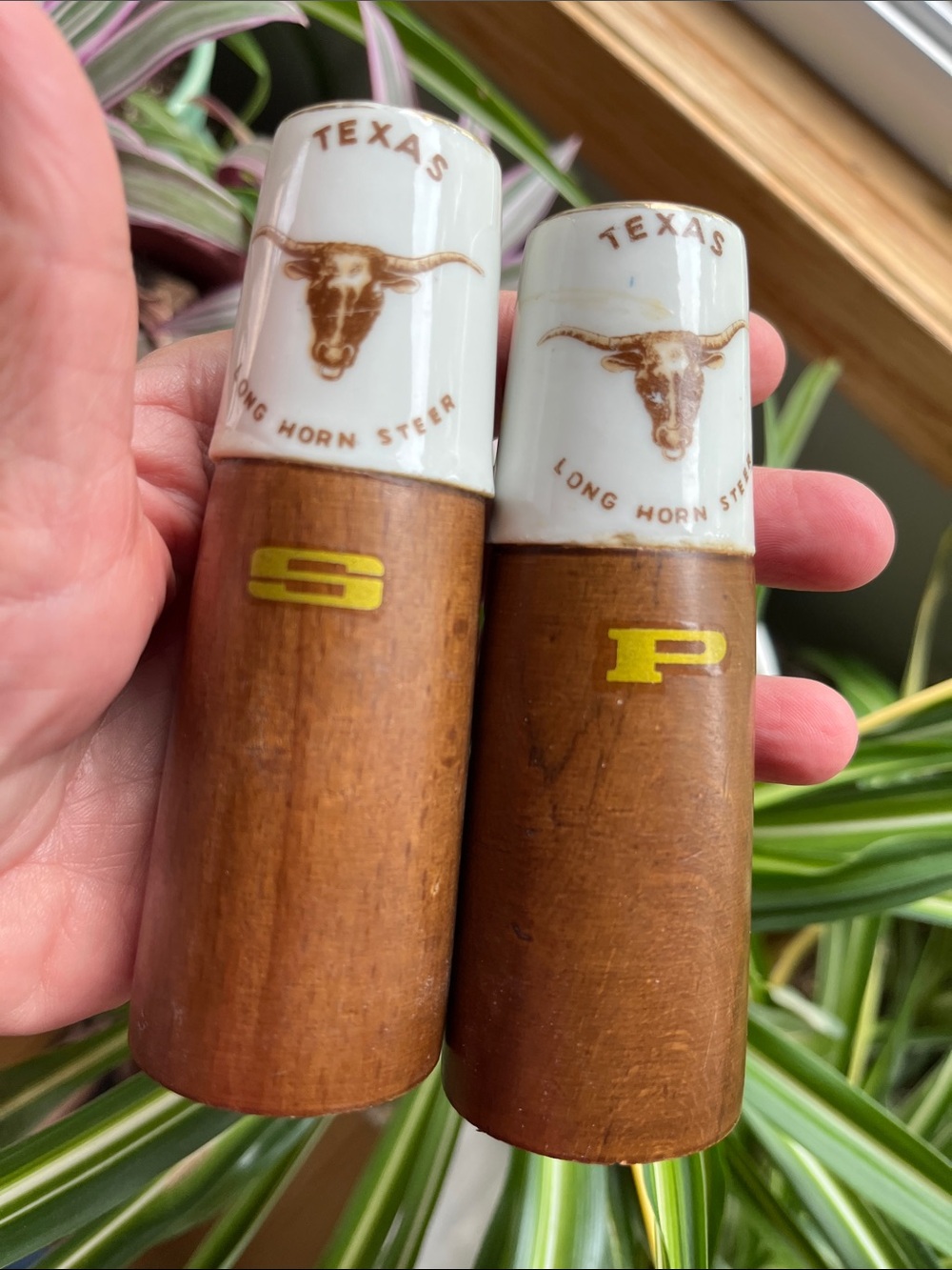 Vtg TEXAS Long Horn Steer Souvenir S&P Shakers Victoria Ceramics MCM Travel